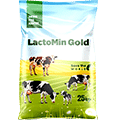 LACTOMIN GOLD