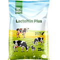 LACTOMIN PLUS